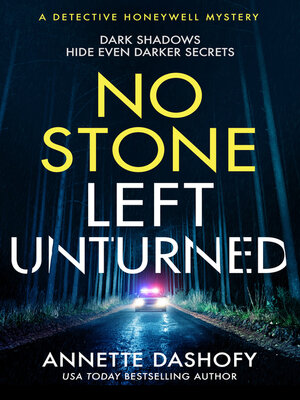 cover image of No Stone Left Unturned